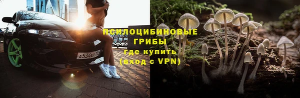 тгк Алзамай