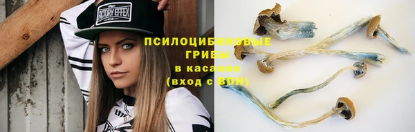 mix Алексеевка