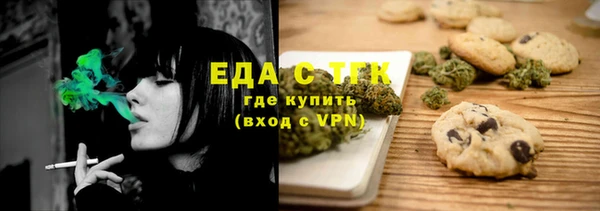 тгк Алзамай