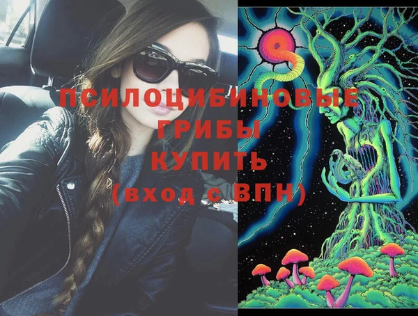 спиды Алексин