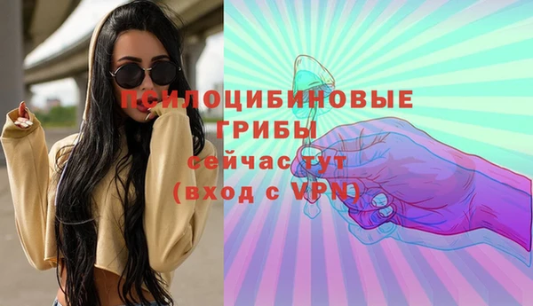 тгк Алзамай