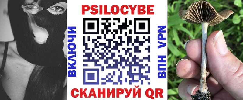 Галлюциногенные грибы Magic Shrooms  дарнет шоп  Михайловск 