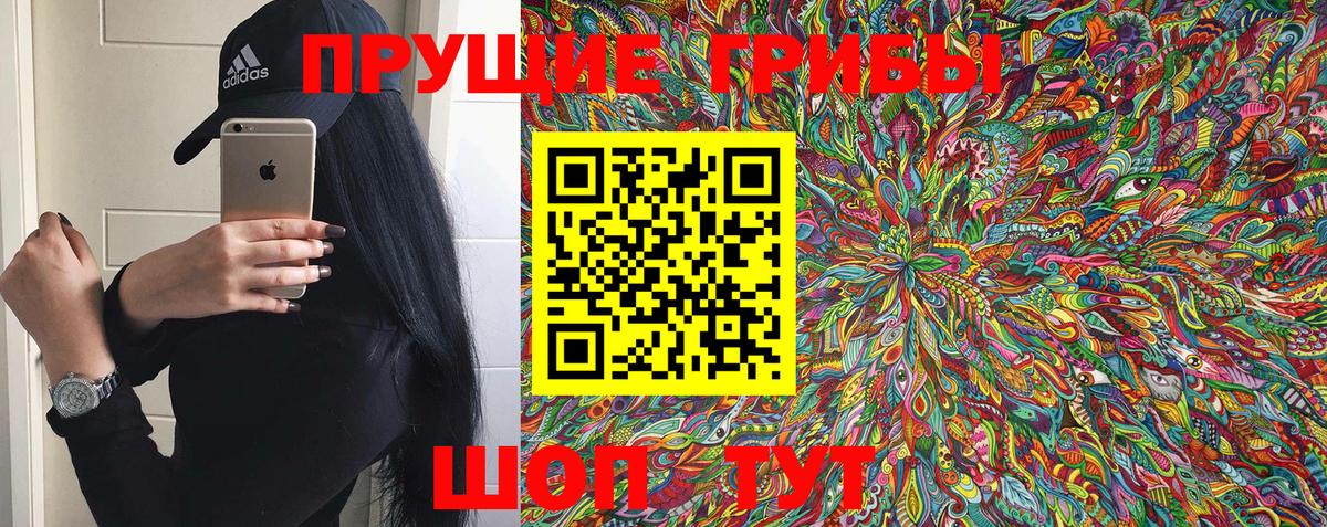Галлюциногенные грибы Psilocybe Михайловск
