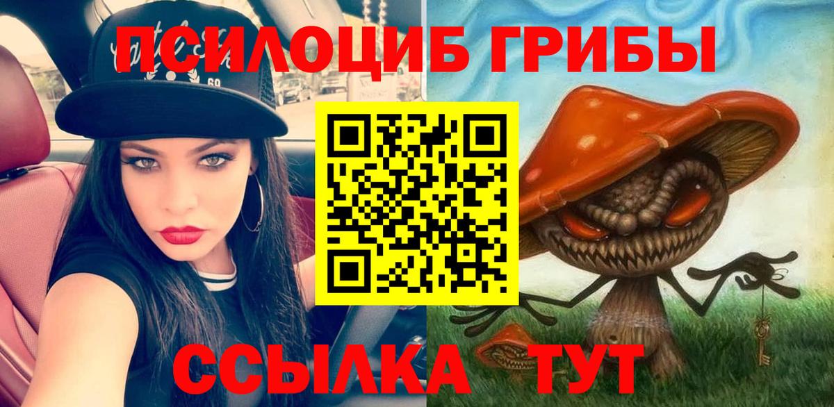 ГАШИШ Михайловск