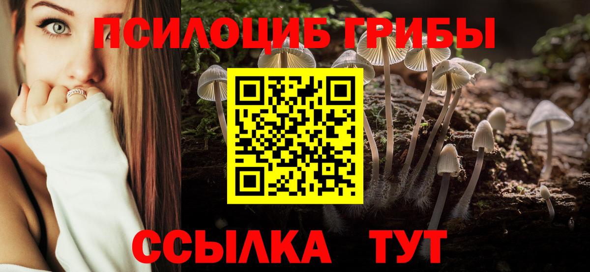 Михайловск  наркошоп  Вход с VPN  Псилоцибиновые грибы ЛСД  Псилоцибиновые грибы GOLDEN TEACHER 